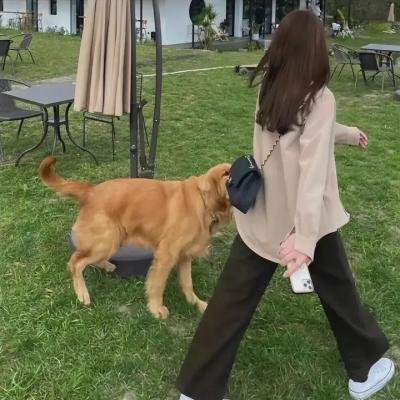 绽放青春